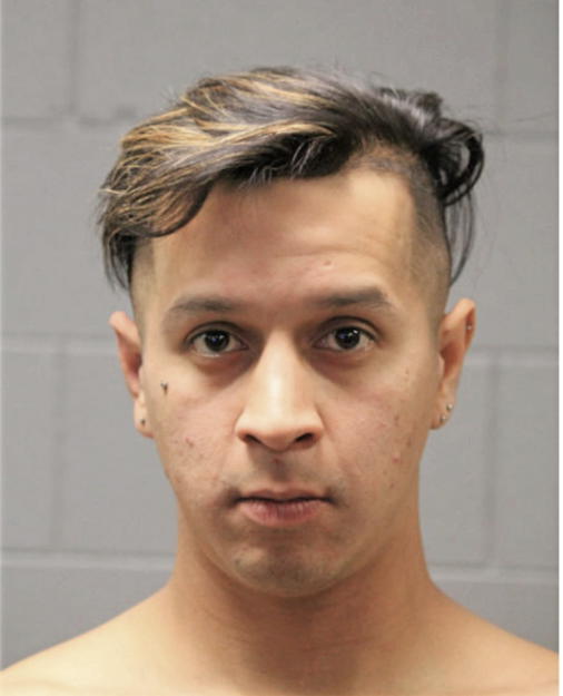 MARIO R GONZALES, Cook County, Illinois