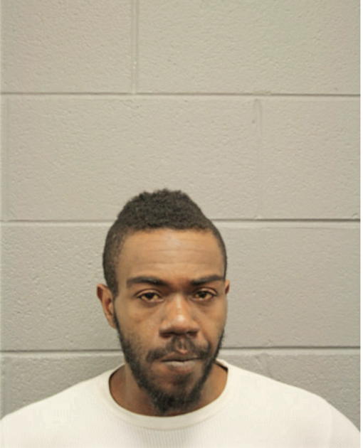 AMIR R HAYWOOD, Cook County, Illinois