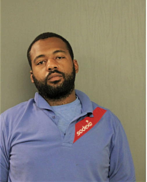 ANTHONY L JOHNSON, Cook County, Illinois
