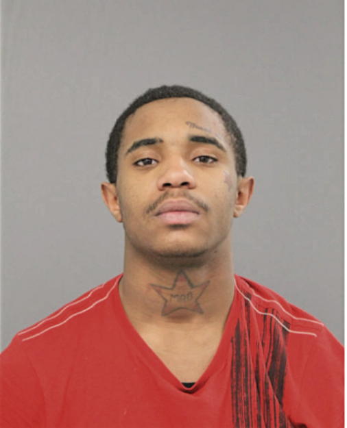 LEDARIUS M JOHNSON, Cook County, Illinois