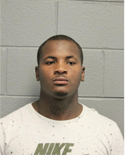 TERRANCE L JOHNSON, Cook County, Illinois