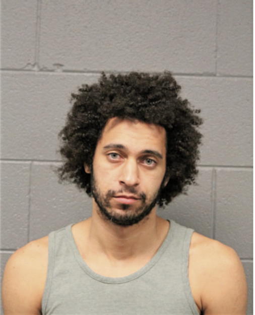 COREY J LENHART, Cook County, Illinois