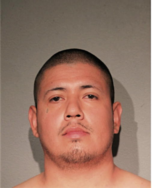 LUIS A LEON, Cook County, Illinois