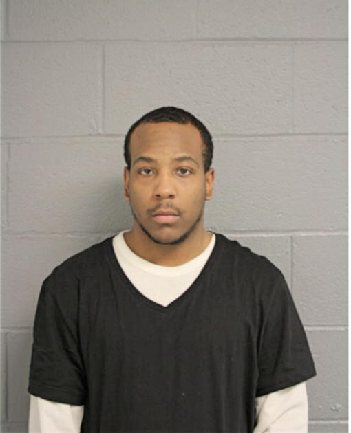 TERRELL J MATTHEWS, Cook County, Illinois