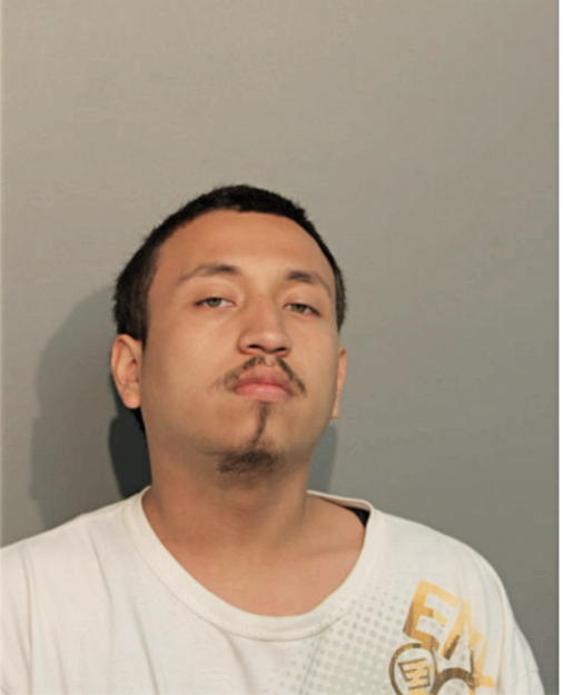 DAVID NAVARRO, Cook County, Illinois