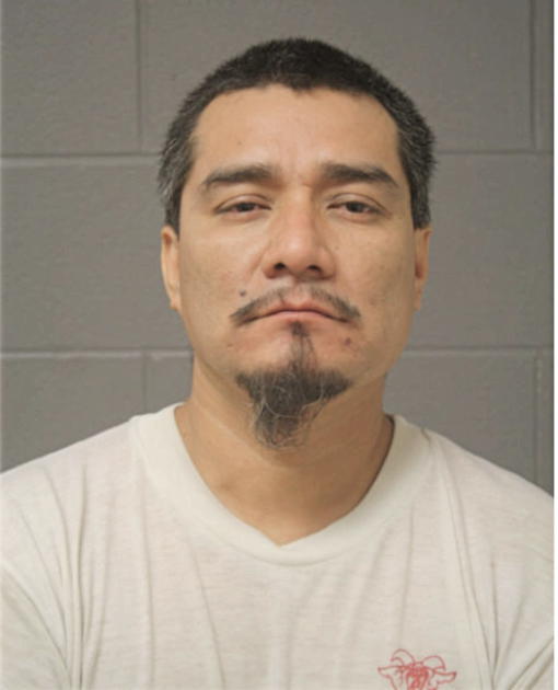 DONACIANO REYES, Cook County, Illinois