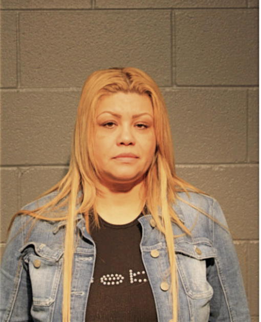 ANDREA S RIBEIRO, Cook County, Illinois