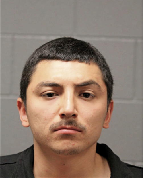 BRIAN RODRIGUEZ, Cook County, Illinois