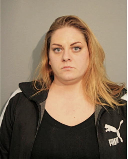 TANYA L SCHNEIDER, Cook County, Illinois