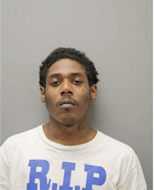 MICHAEL A SMITH, Cook County, Illinois