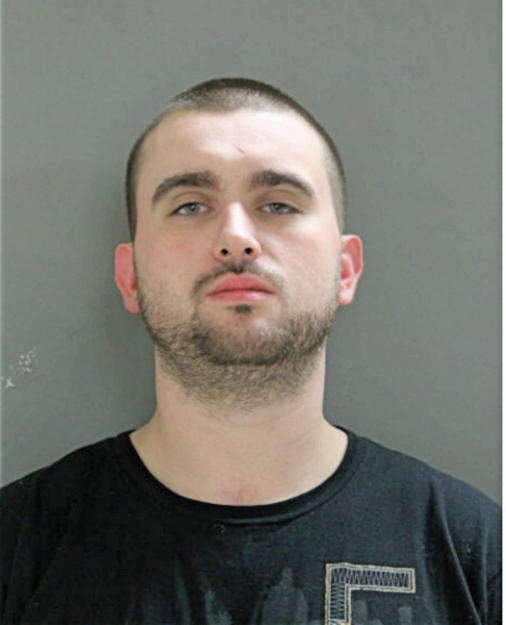 ANDREW L SZLEMBARSKI, Cook County, Illinois