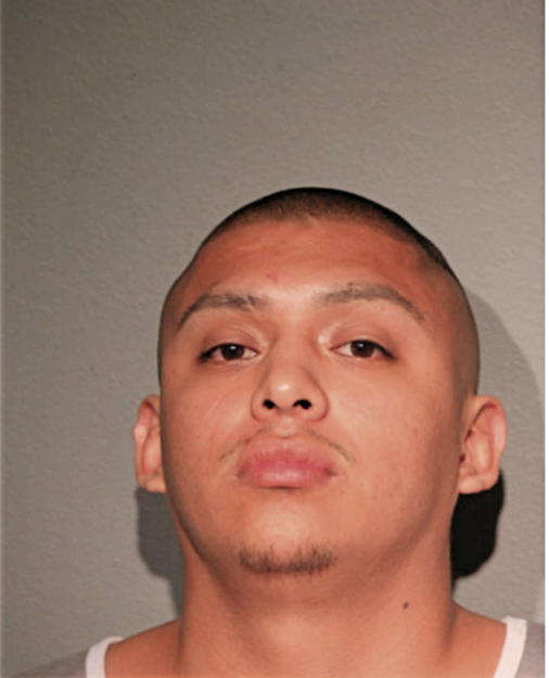 EFRAIN TORRES, Cook County, Illinois