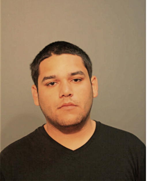 ANTONIO A VILLAREAL, Cook County, Illinois
