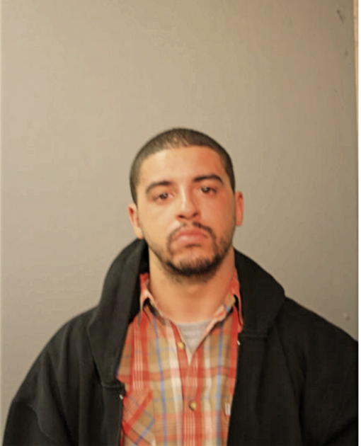 BRANDON R WOLF, Cook County, Illinois