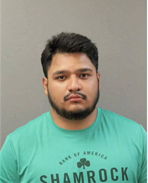 ADRIAN E ARGUETA, Cook County, Illinois