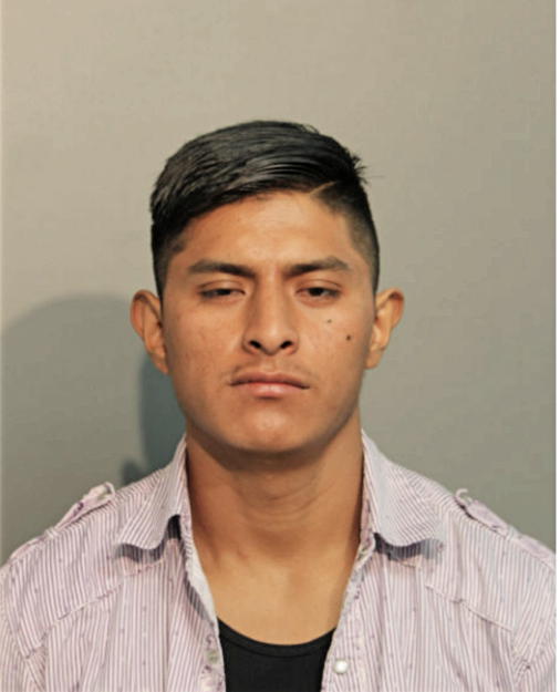 LUIS RAMIRO CALVA, Cook County, Illinois