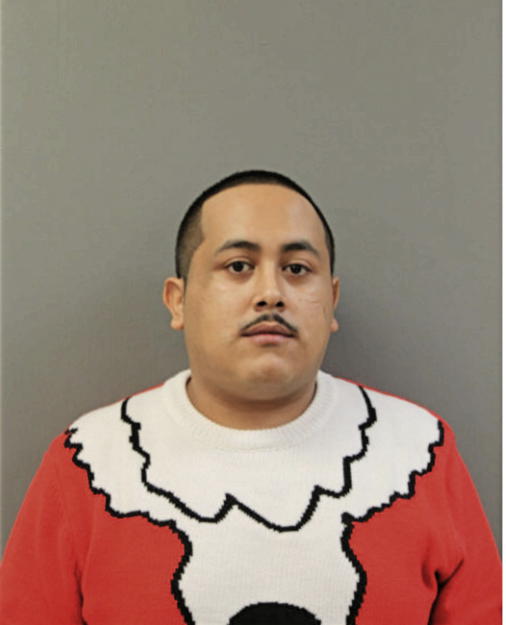 MICHAEL A CARRIZALES, Cook County, Illinois