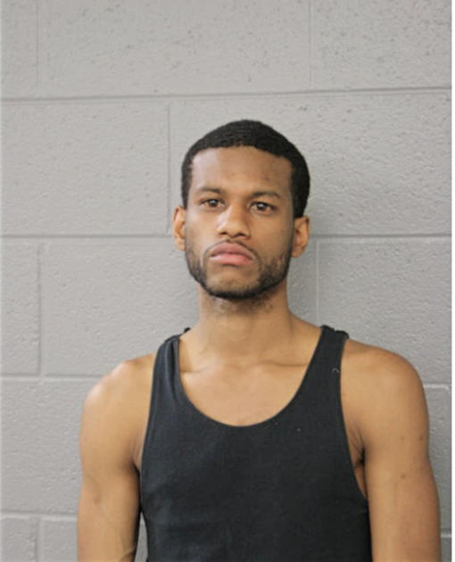 ROBERT L DAVIS, Cook County, Illinois