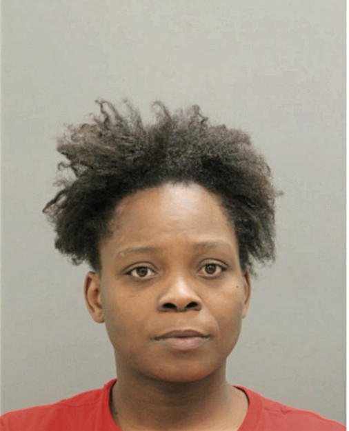 JOHNNIE B DAVISFIELDS, Cook County, Illinois