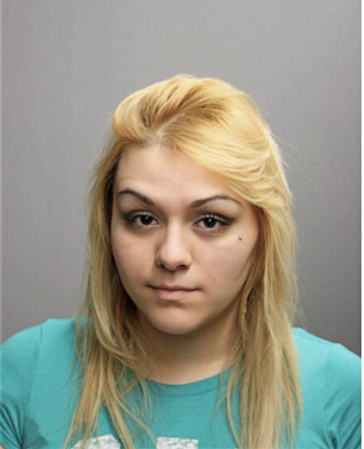STEPHANIE C FITZ, Cook County, Illinois