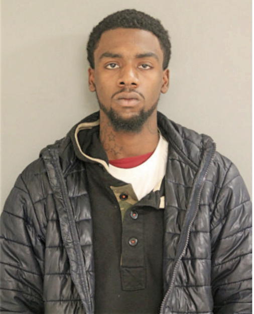 DERRICK D FLEMING, Cook County, Illinois