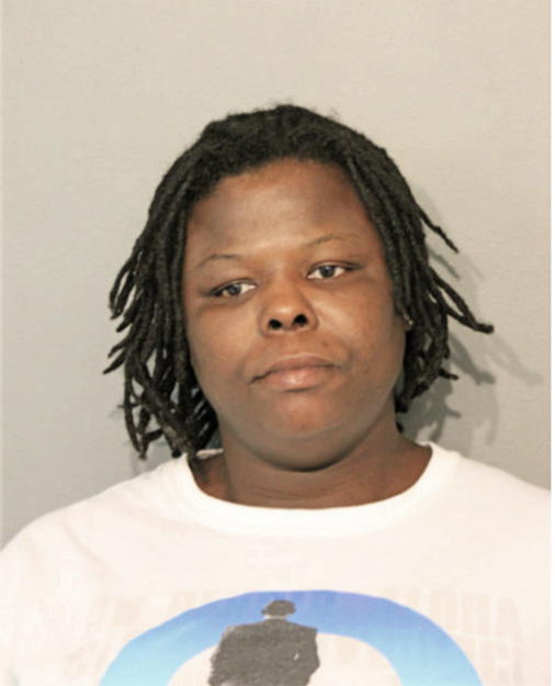 RACHEL M FLUCKES, Cook County, Illinois