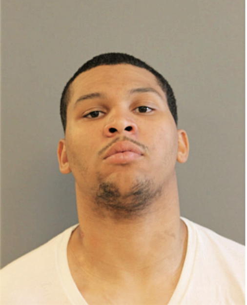 CHRISTOPHER M FRY, Cook County, Illinois