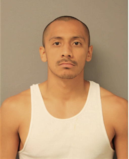 TOMAS GALARZA, Cook County, Illinois