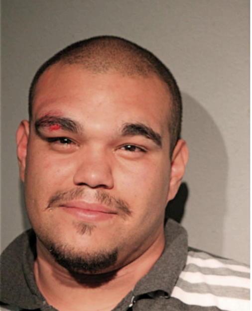 RICHARD A GANDARA, Cook County, Illinois