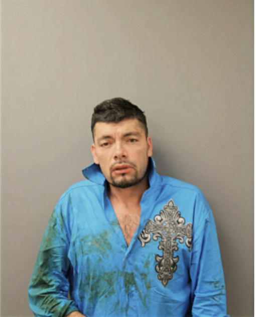 JOSE R GONZALES, Cook County, Illinois