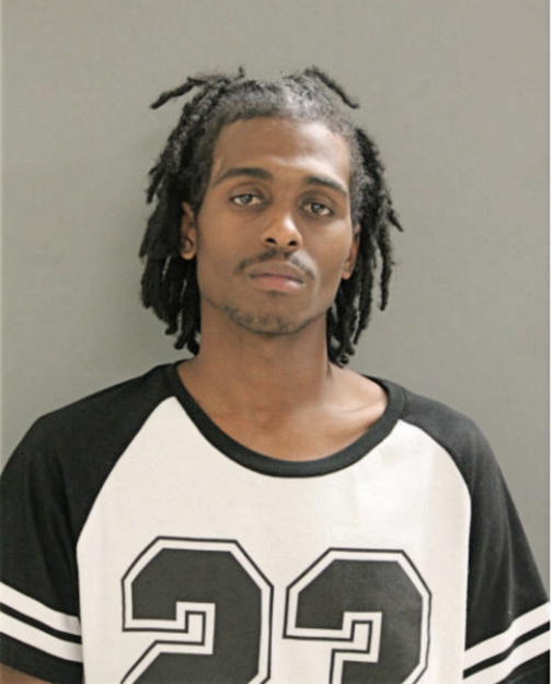 ROBERT S GRANT, Cook County, Illinois