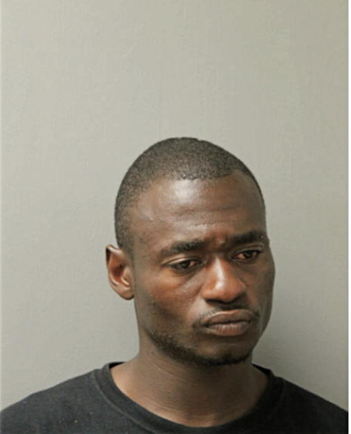 TERRELL L HAMMONDS, Cook County, Illinois