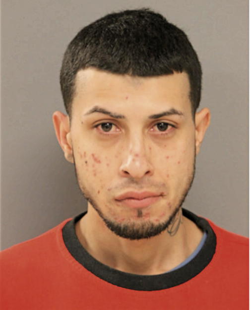 NOEL HERNANDEZ, Cook County, Illinois