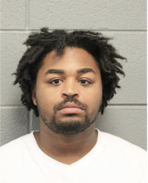 ARMANI V LEE, Cook County, Illinois