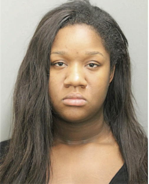 DIAMOND D LEE, Cook County, Illinois