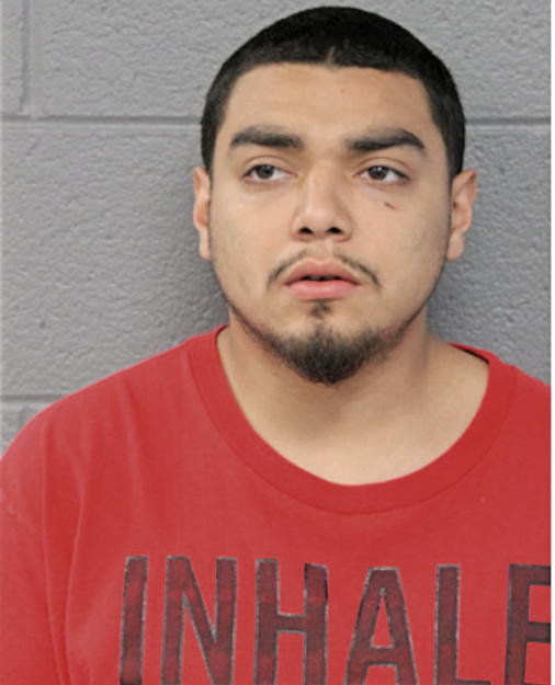 LUIS LEON, Cook County, Illinois