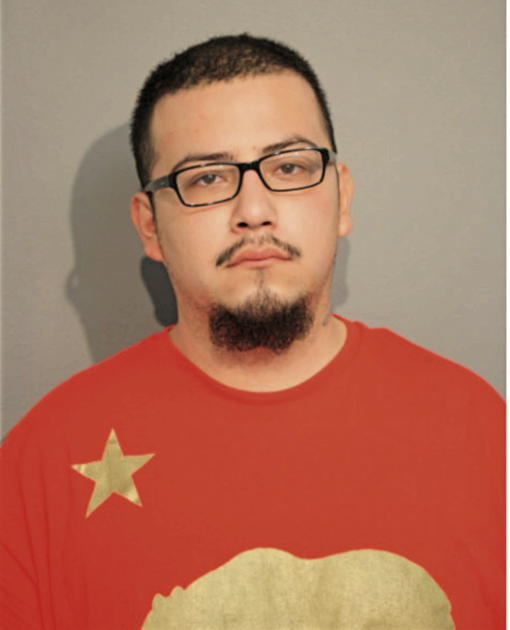 ERIK MORA, Cook County, Illinois