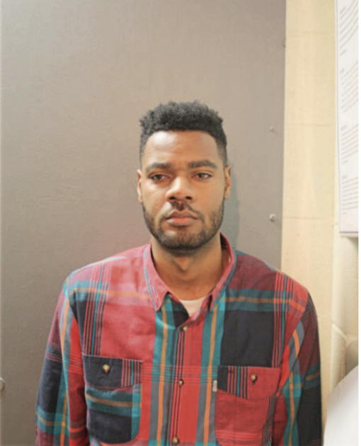 TYRONE G NELSON, Cook County, Illinois