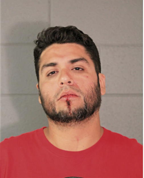 JUAN ORTIZ, Cook County, Illinois