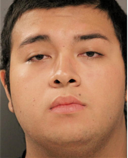 JORGE V PINEDA, Cook County, Illinois
