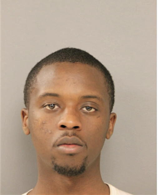 DENZEL S ROBINSON, Cook County, Illinois