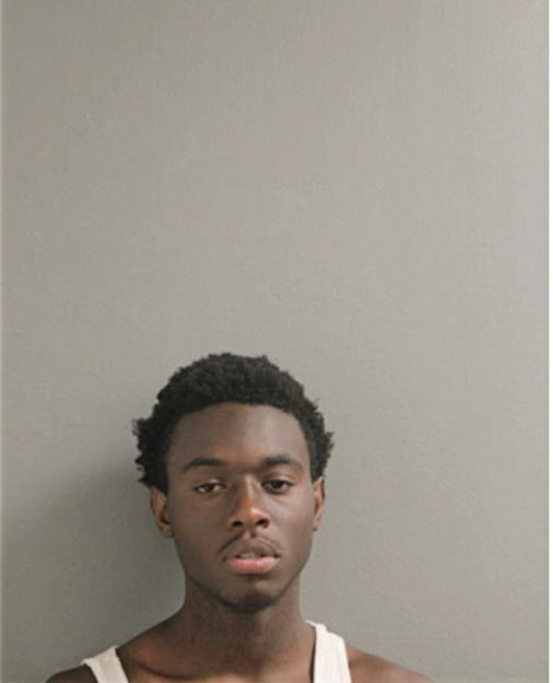 JERMAINE J ROBINSON, Cook County, Illinois