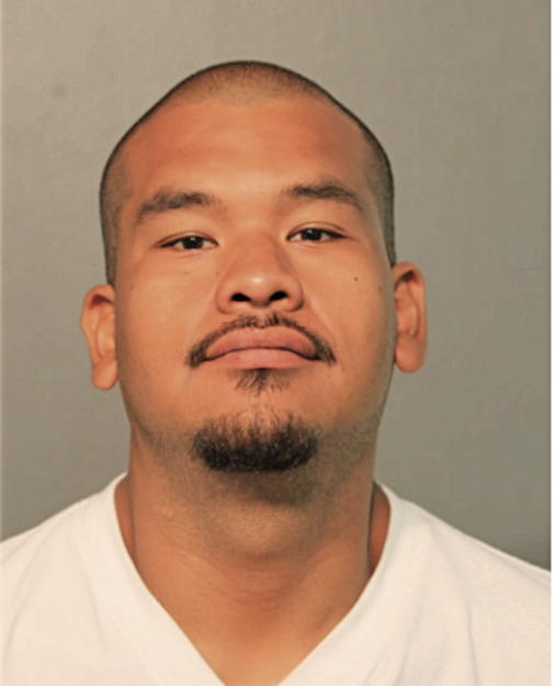 HONECIMO SALGADO, Cook County, Illinois