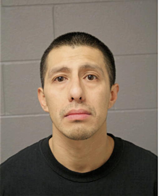 JOSE A SILVA, Cook County, Illinois