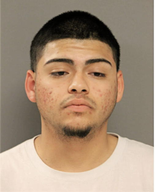 DANIEL P VEGA, Cook County, Illinois