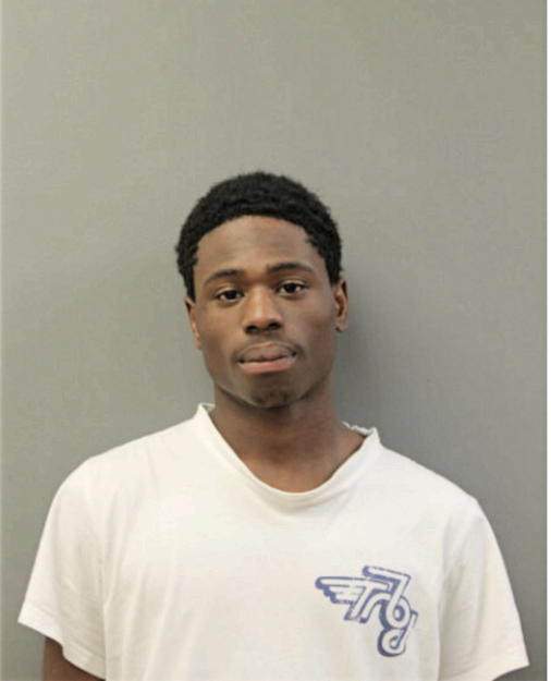 DAVID T YOUNG, Cook County, Illinois