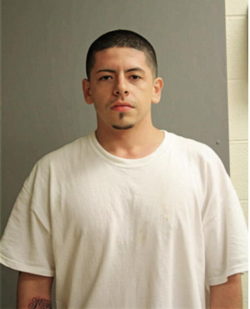NOE AGRAMANTE, Cook County, Illinois