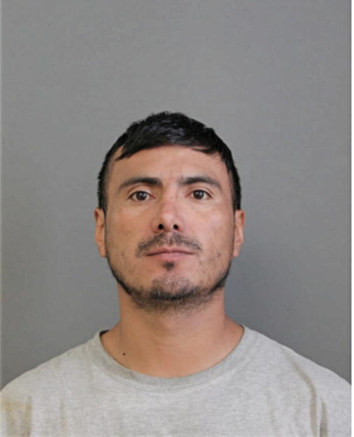 JUAN C ARMIJOS, Cook County, Illinois