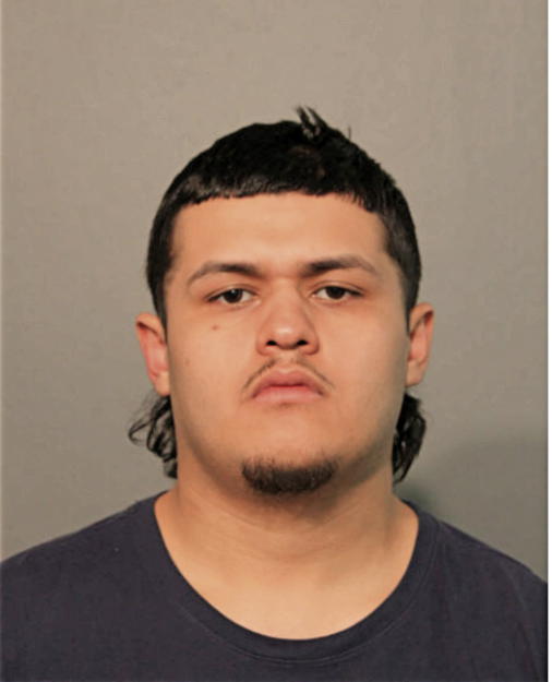 RICARDO A CAMACHO, Cook County, Illinois
