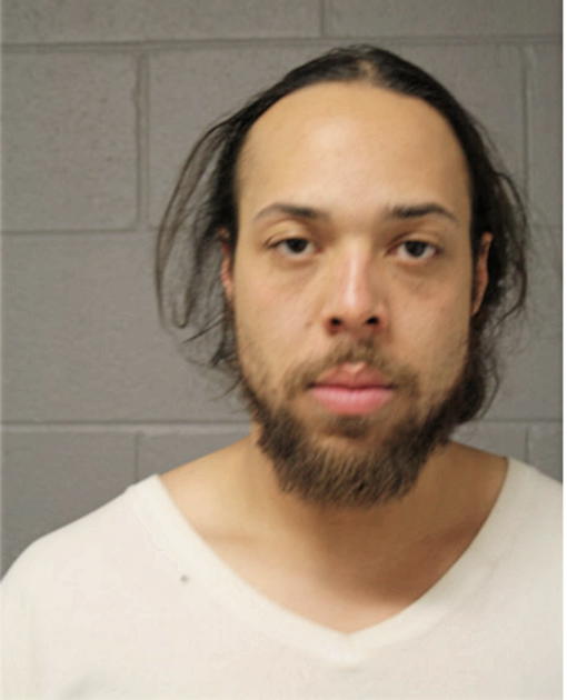 ALEX G DREW, Cook County, Illinois